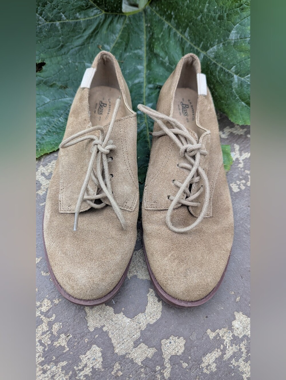 G.H. Bass & Co. Emmie 2 Tan Oxfords